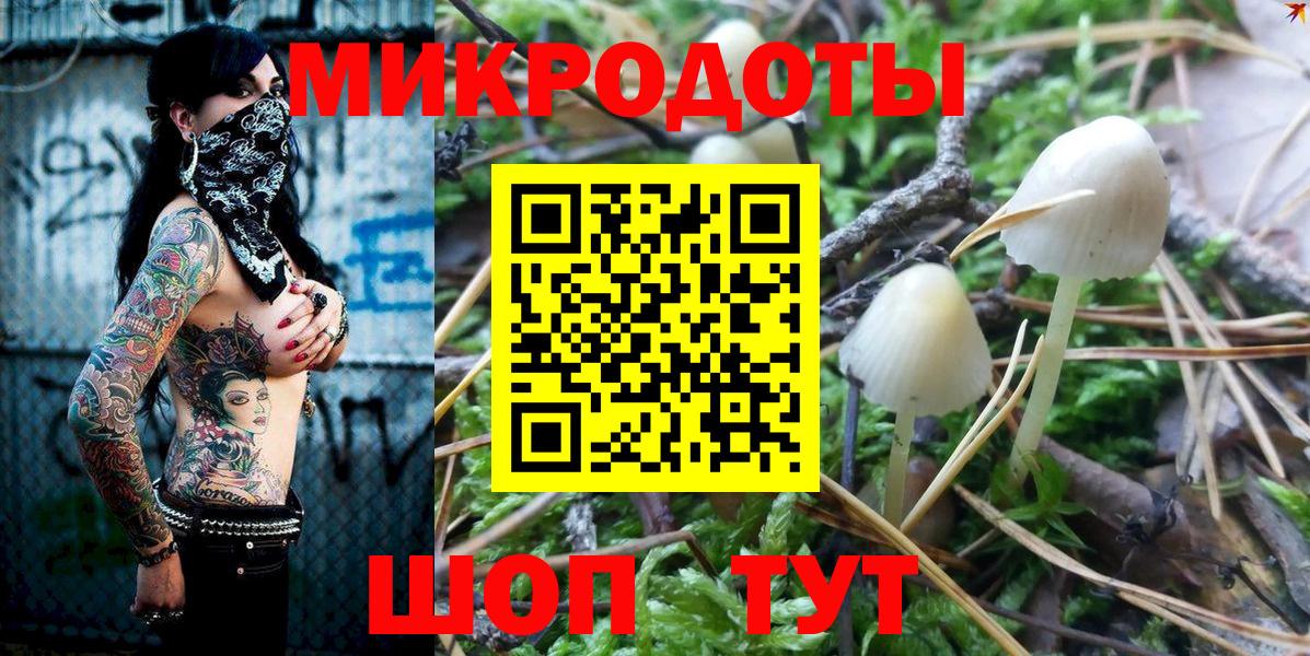 Галлюциногенные грибы Cubensis Саяногорск