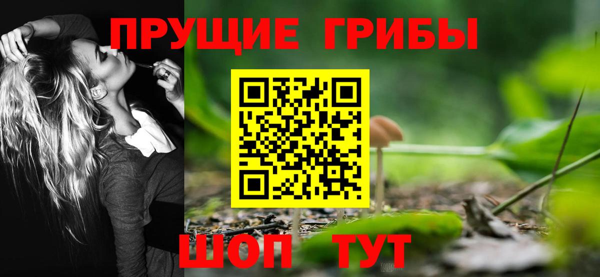 купить закладку  Вход с VPN  Саяногорск  Галлюциногенные грибы Magic Shrooms 